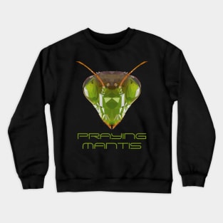 Mantis praying mantis Polygon children gift Crewneck Sweatshirt